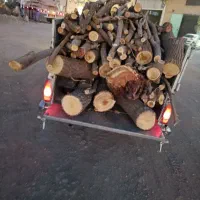 خریدار چوب همه نوع