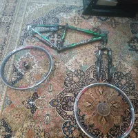 تنه دوچرخه سالم