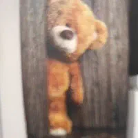 روتختی پرده طرح تدی نو 2تومن