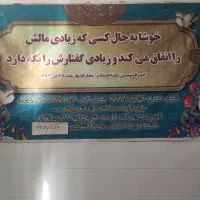 مهد کودک|خدمات آموزشی|سبزوار, کوی بهار|دیوار