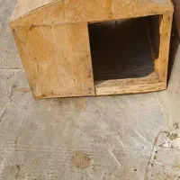 لانه سگ یاگربه