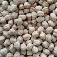 نخود سفید تازه