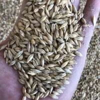 خوراک دام|عمده‌فروشی|زرین آباد, |دیوار