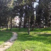 زمین-شریعتی-24متر-بر-سند-تک-برگ