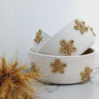 باکس نظم دهنده و ست سیسمونی