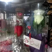 وسایل دکوری