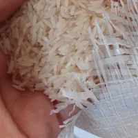 برنج طارم محلی|خوردنی و آشامیدنی|فریدون‌کنار, |دیوار