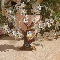 درختچه و مگنت یخچالی