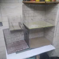 قفس پرنده