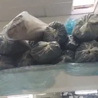 تجاری زیر قیمت کارشناسی ۴۸ بنا(شرایطی و معاوضه)|فروش مغازه و غرفه|قم, منبع آب|دیوار