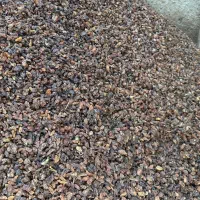 کشمش اعلا برای دبه برای پاتیل هر یک کیلو ی لیتر ج|خوردنی و آشامیدنی|گرگان, |دیوار