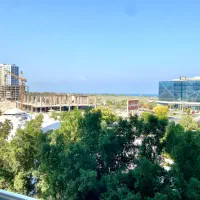 نیازمند به یک همخونه جوون برای یک ماه