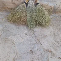جارو