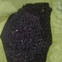 زرشک کوهی