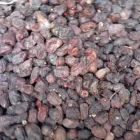 پون خرمایی درجه چهار پنج