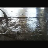 استخدام نیروی اجرای فوم بتن