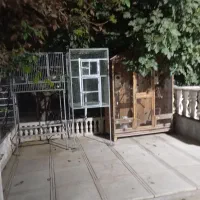 عروس هلندی. مرغ عشق . فنچ با قفس|پرنده|فشاپویه, |دیوار