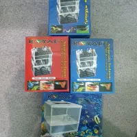 زایشگاه ماهی رویال|ماهی|تهران, دهم فروردین|دیوار