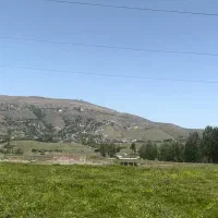 250-متر-دیوار-کشی