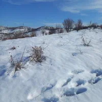 اجاره-زمین-کشاورزی-در-لنج-آباد