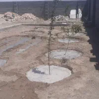 باغ-چهاردیواری-داخل-مجموعه