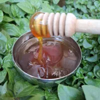 عسل طبیعی