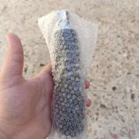 فنر تقویتی پاکشتی