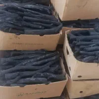 انواع ذغال های  کبابی  قلیون|عمده‌فروشی|کرج, شهرک نهال و بذر|دیوار