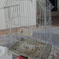 قفس پرنده|لوازم جانبی حیوانات|شهر ری, شهادت|دیوار