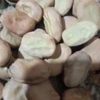 باقله درشت پزا