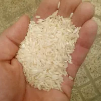 عرضه برنج عنبربو شوشتری یاران و کامفیروزی|خوردنی و آشامیدنی|خمینیشهر, |دیوار