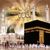 فیش حج