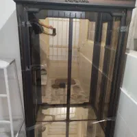 ویترین|کتابخانه، شلف، قفسههای دیواری|قدس, شهرقدس|دیوار