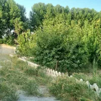 ۸۰۰ متر باغچه با سند تک برگ و نگهبان در مجموعه|فروش زمین و ملک کلنگی|شهریار, سقرچین|دیوار