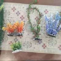 گل اکواریوم و چوب ابنوس