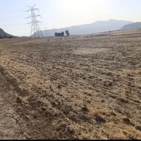 فروش زمین کشاورزی پیان|فروش دفتر صنعتی، کشاورزی، تجاری|ایذه, |دیوار