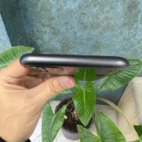 ایفون ۱۱ نرمال|موبایل|کرج, اصفهانیها|دیوار