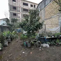 زمین آماده ساخت|فروش زمین و ملک کلنگی|رشت, پیرکلاچای|دیوار