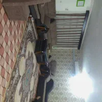 اجاره آپارتمان مجتمع لاله صفائیه