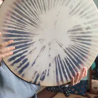 دف خورشیدی نو