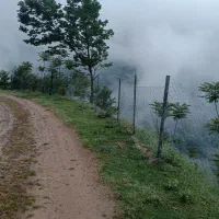 خونه باغ گردو ۱۰۰۰متری|فروش زمین و ملک کلنگی|فریم, |دیوار