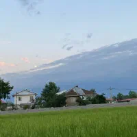فروش شالیزار *به زراعی* در روستای چوبه|فروش دفتر صنعتی، کشاورزی، تجاری|صومعه‌سرا, |دیوار