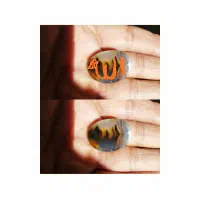 نگین شجرولکه دارقاین بهاری فردوس در نجف