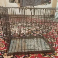 قفس نگهداری از پرندگان