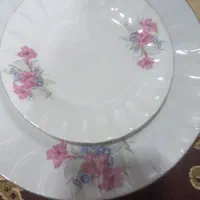 مقداری چینی دست دوم|ظروف سرو و پذیرایی|سیلاخور, |دیوار