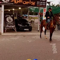 نیروی کار در کارواش