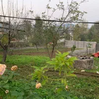 فروش زمین|فروش زمین و ملک کلنگی|پایین هولار, |دیوار