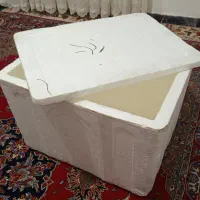 جعبه فیبر (نو)