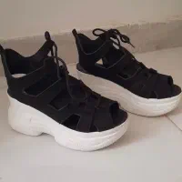 صندل|کیف، کفش، کمربند|شهریار, شهریار|دیوار