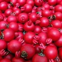 گوشواروپلاک شب یلدای